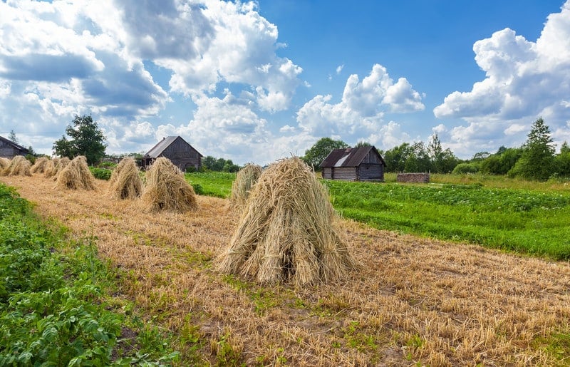 rural health care crisis